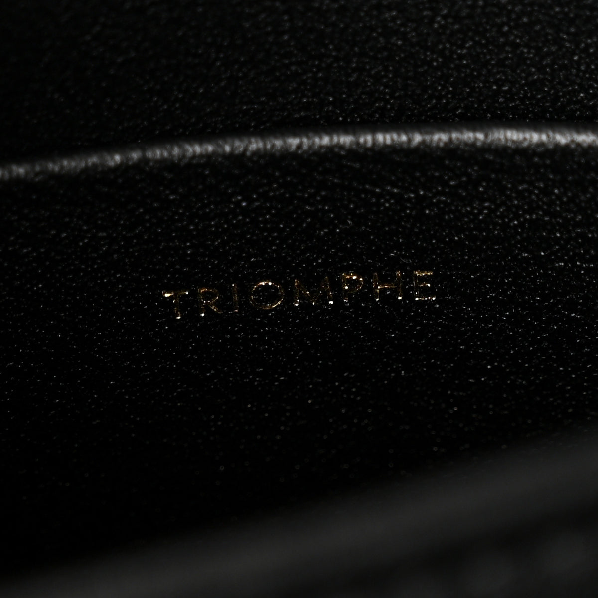 Shiny Calfskin Teen Triomphe Black