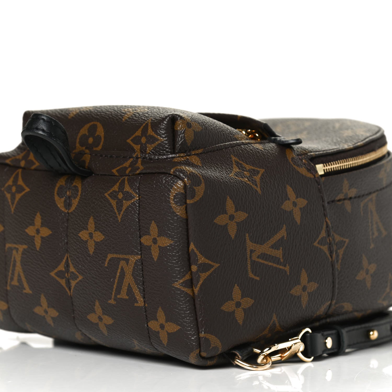 Louis Vuitton Monogram Palm Springs Backpack Mini 11 of 14