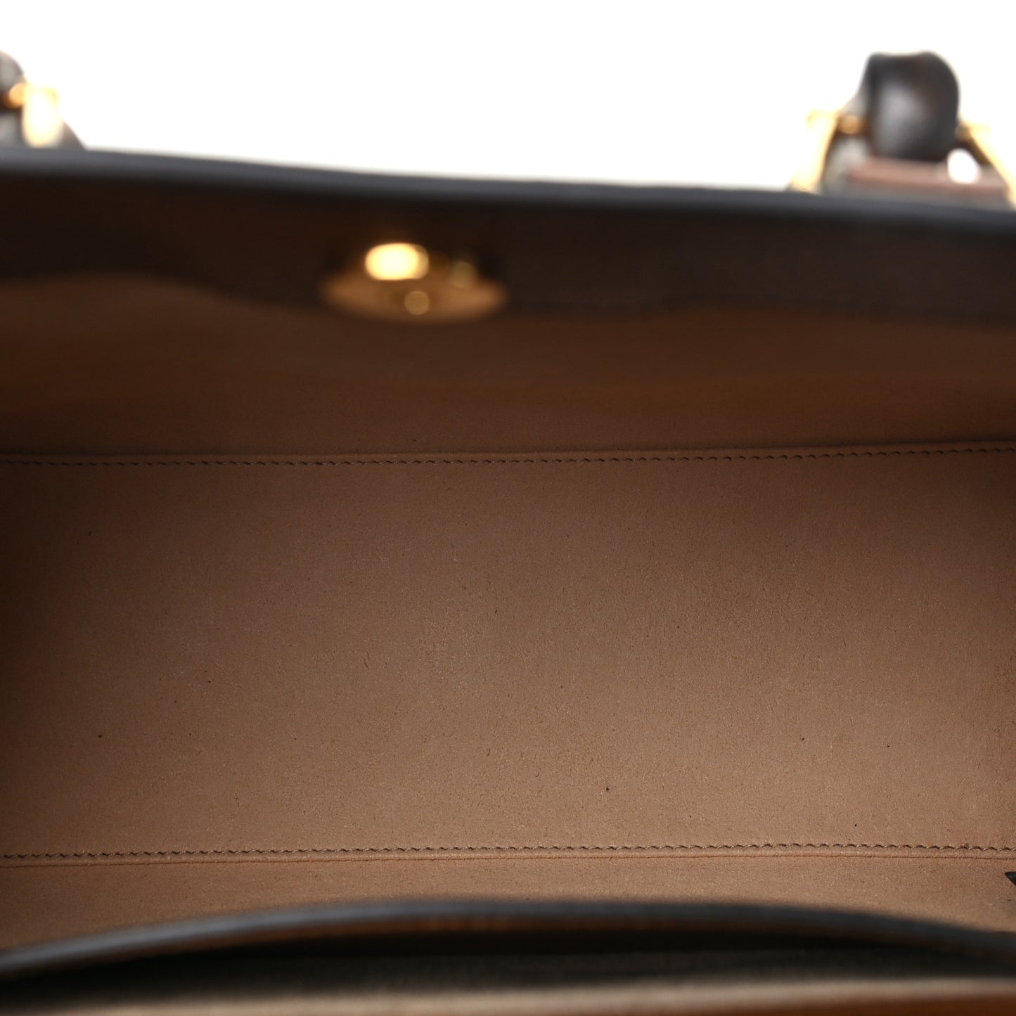 Textured Dollar Calfskin Web Small Diana Tote Bag Cuir Black