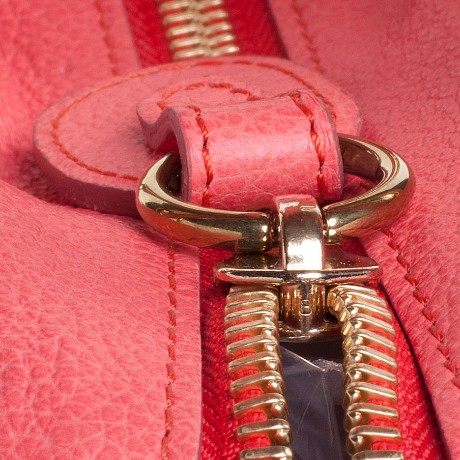 Calfskin Medium Paraty Paradise Pink