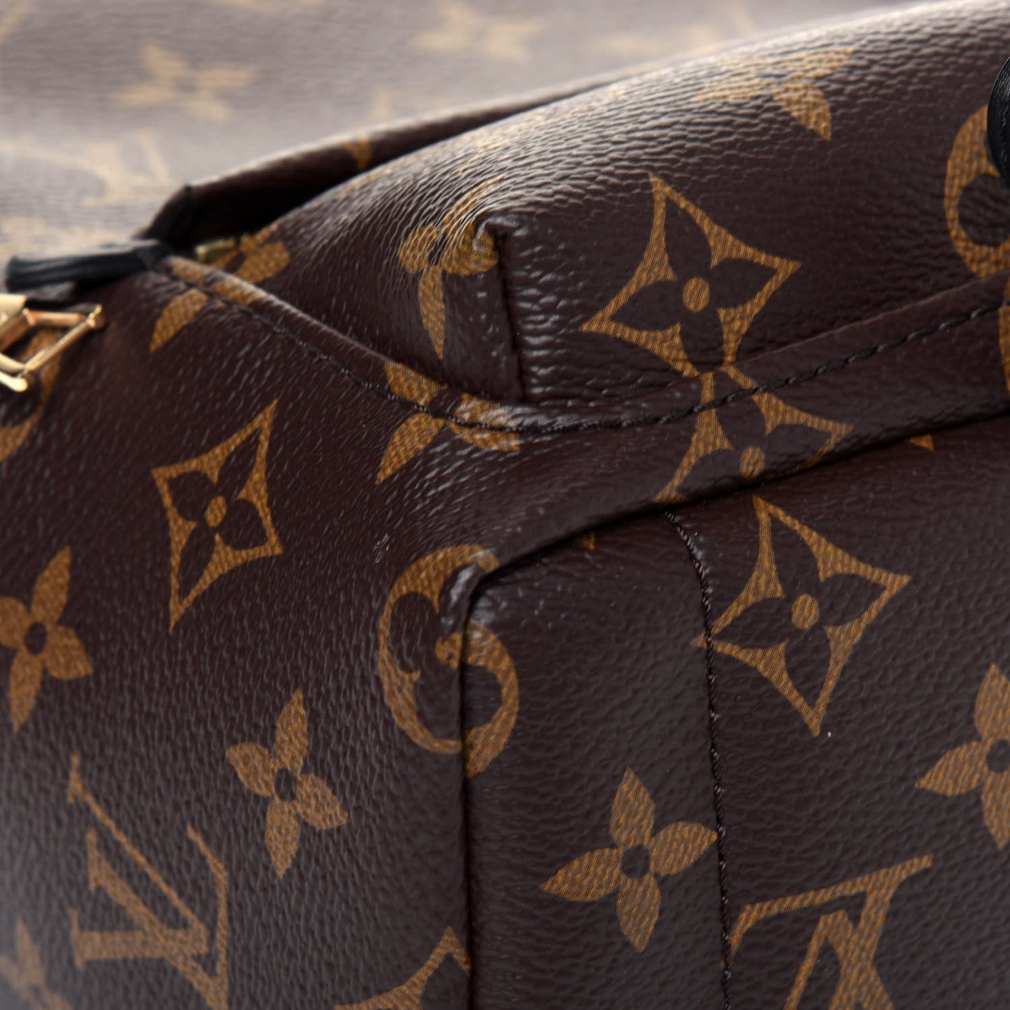 Monogram Palm Springs Backpack Mini