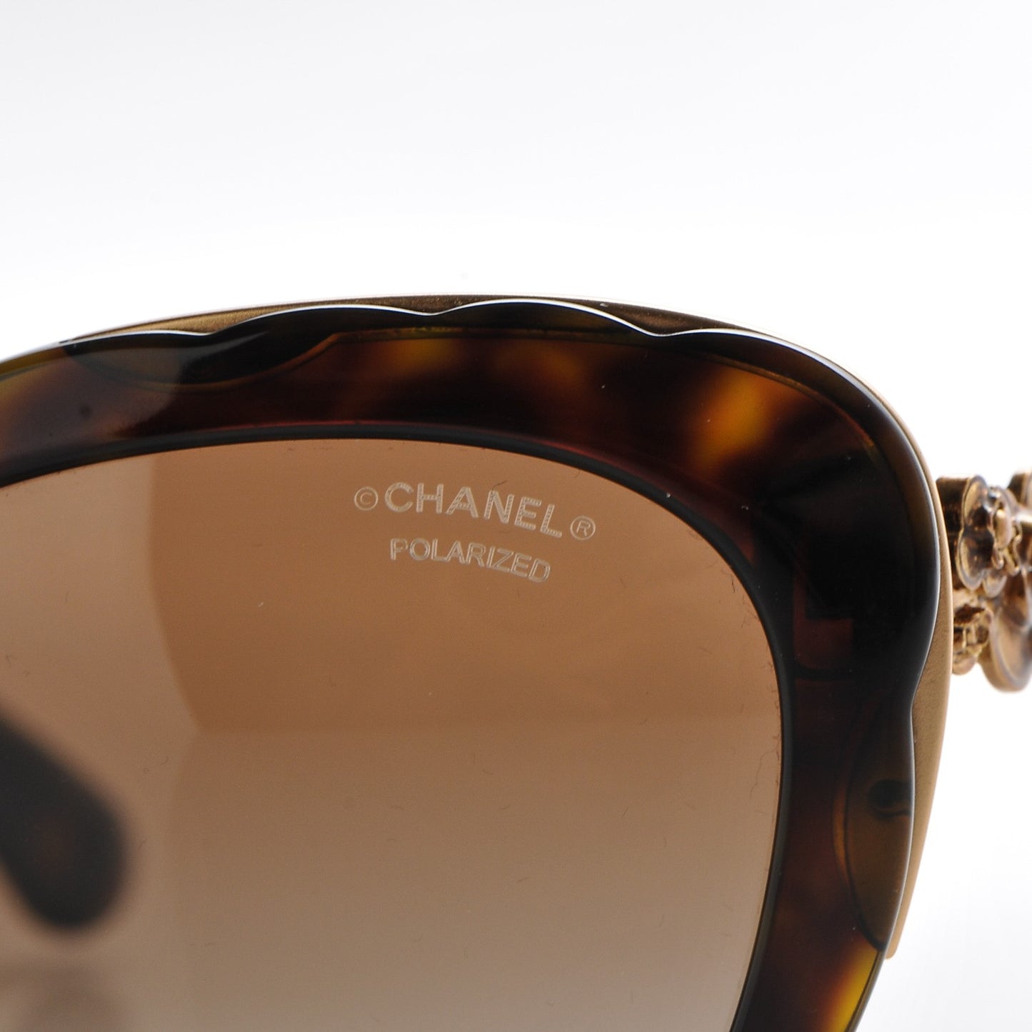 Bijou Cat Eye Sunglasses 5354 Tortoise