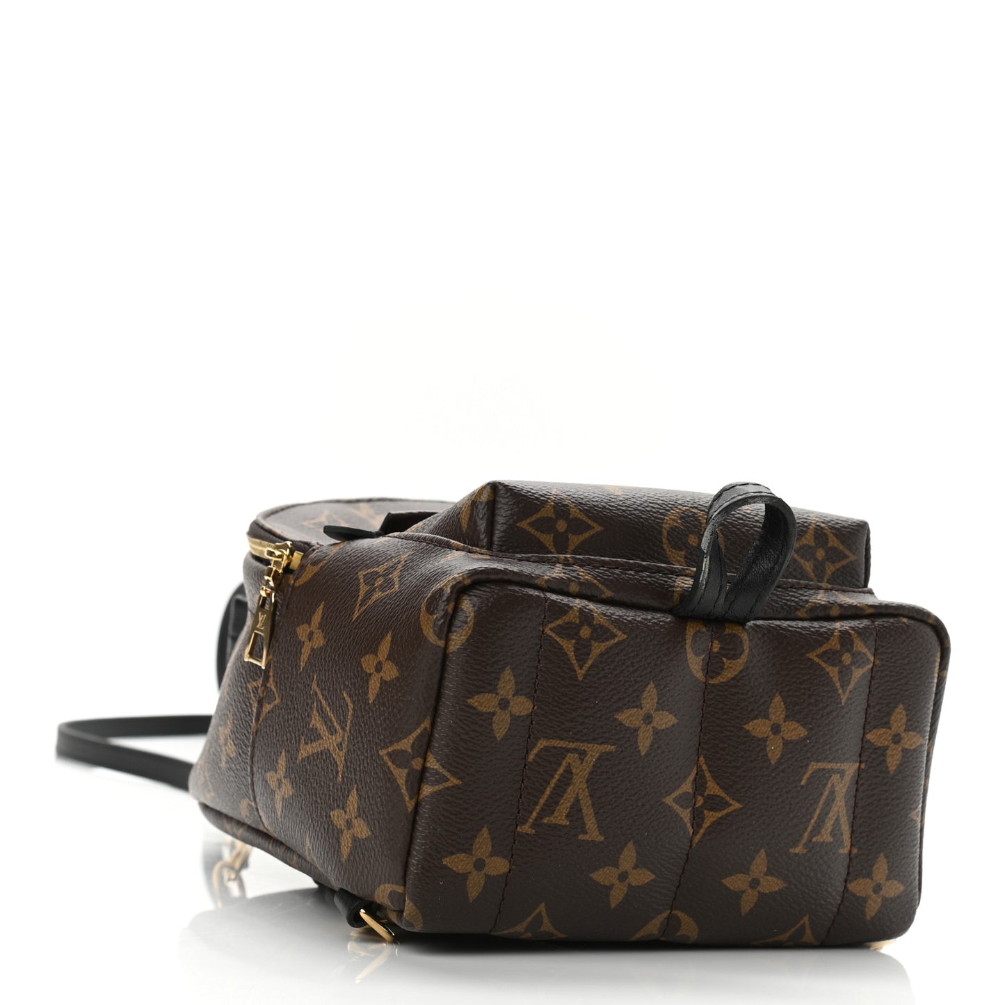 Monogram Palm Springs Backpack Mini