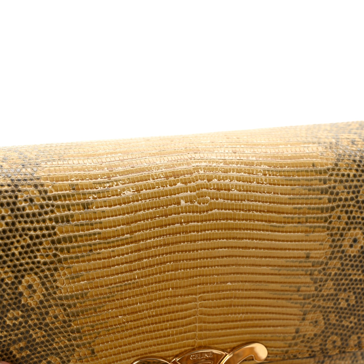 Lizard Teen Triomphe Ochre
