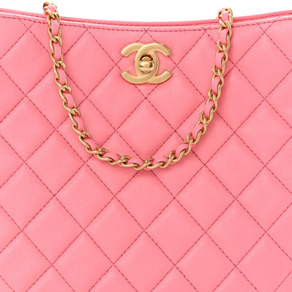 Chanel Lambskin Quilted Small Pearl Crush Hobo Pink 8 of 11