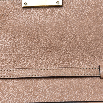 Chloe Goatskin Mini Elsie Crossbody Bag Biscotti Beige 16 of 16
