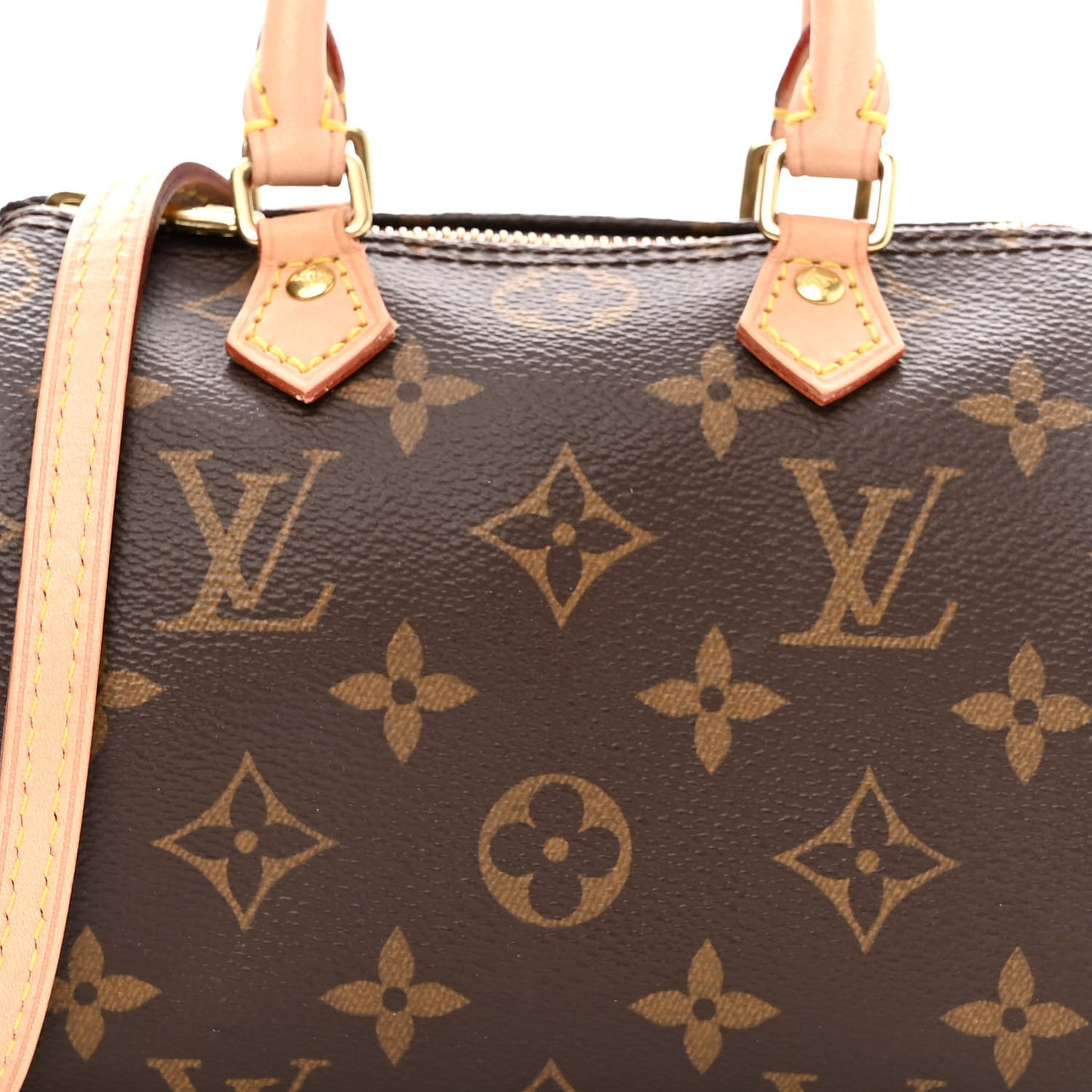 Monogram Nano Speedy