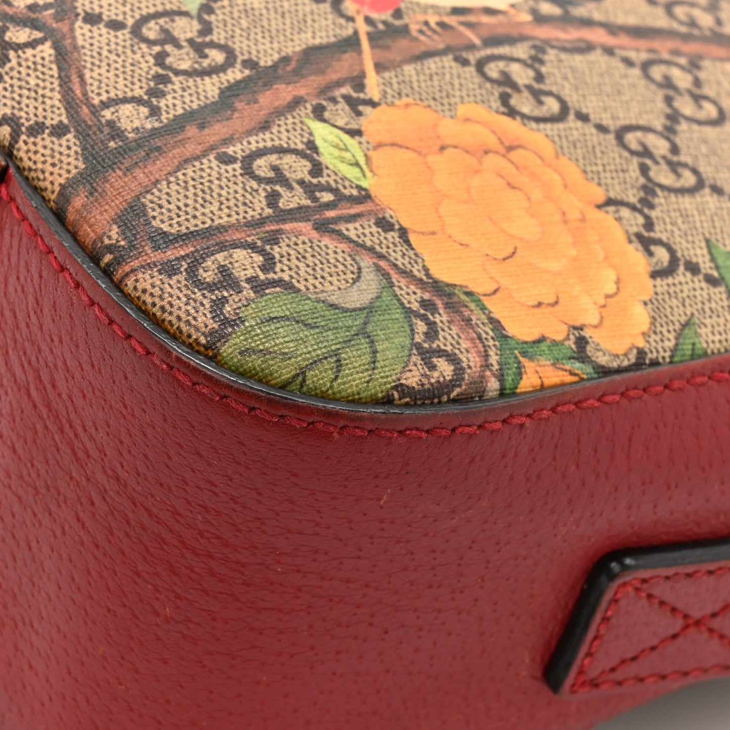GG Supreme Monogram Tian Web Camera Bag Beige Multicolor Red
