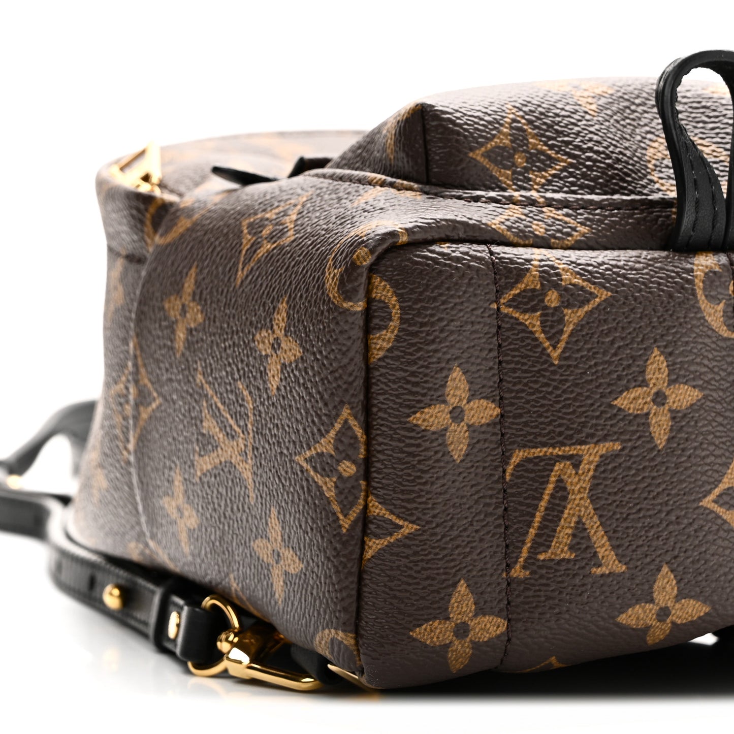 Monogram Palm Springs Backpack Mini