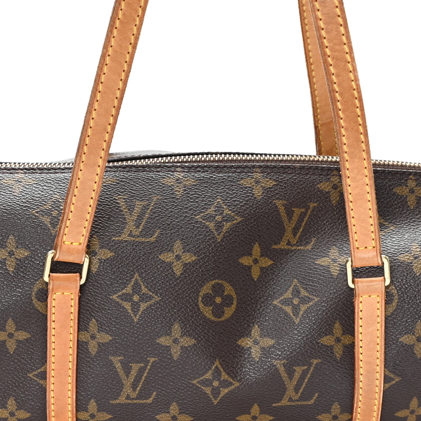 Monogram Papillon 30 with Companion