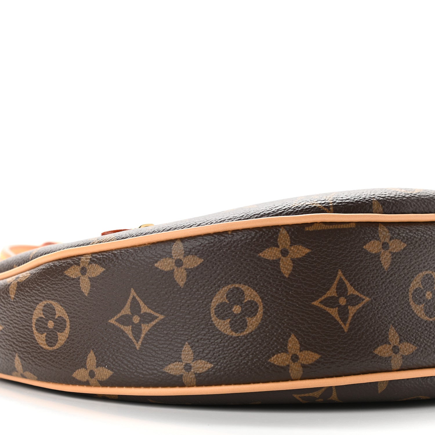 Louis Vuitton Monogram Loop 7 of 8