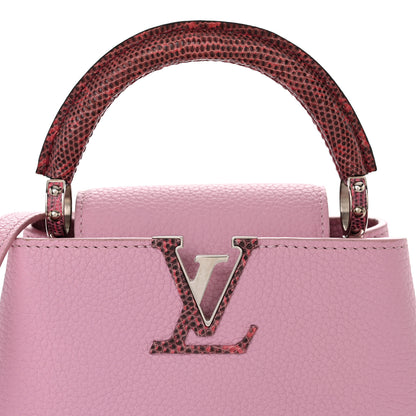 Louis Vuitton Taurillon Ayers Capucines Mini Pink 7 of 11