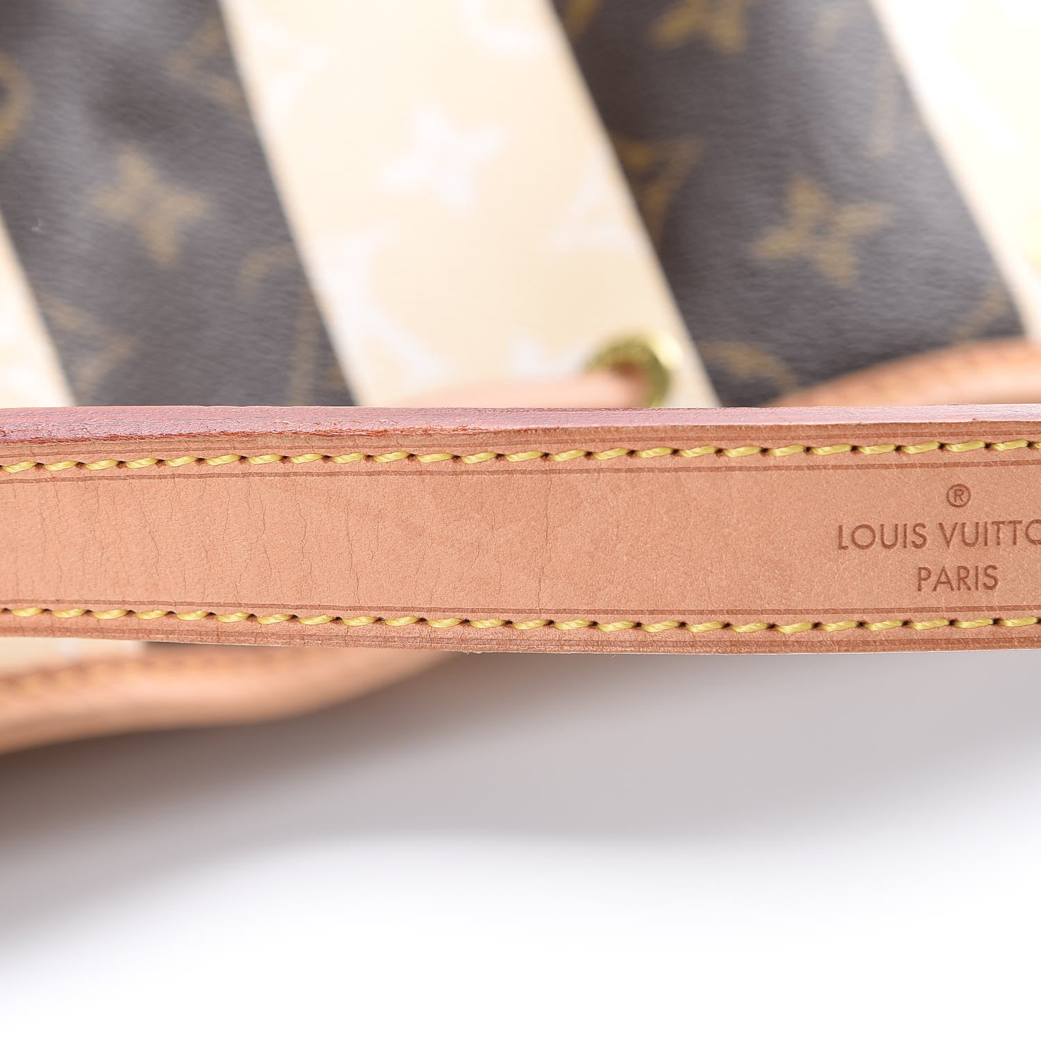 Louis Vuitton Monogram Rayures Noe 12 of 12