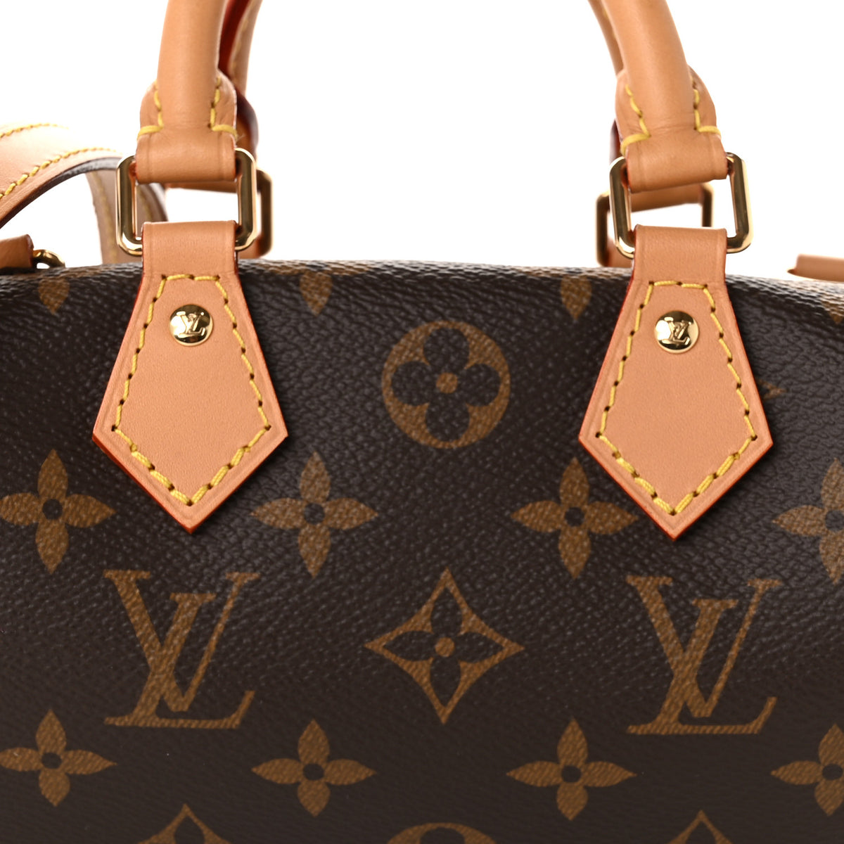 Monogram Nano Speedy Dating