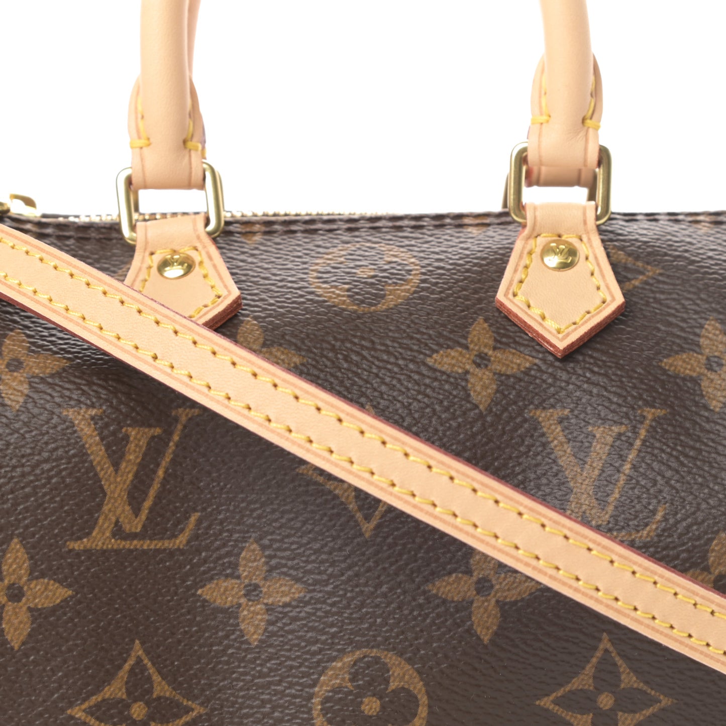 Monogram Nano Speedy