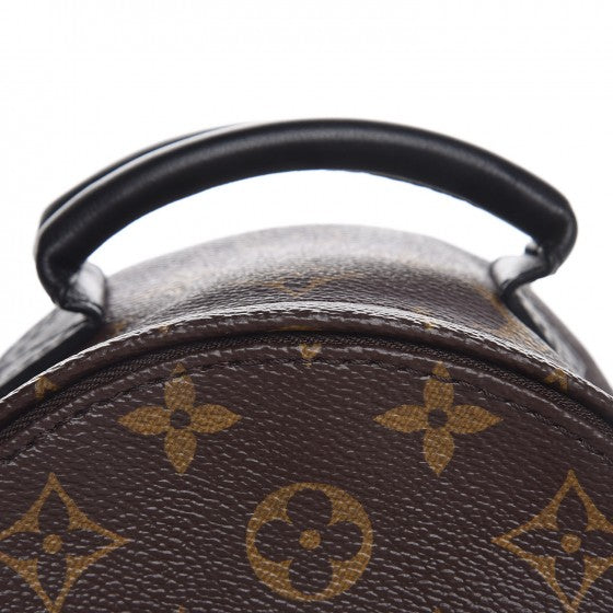 Monogram Palm Springs Backpack Mini