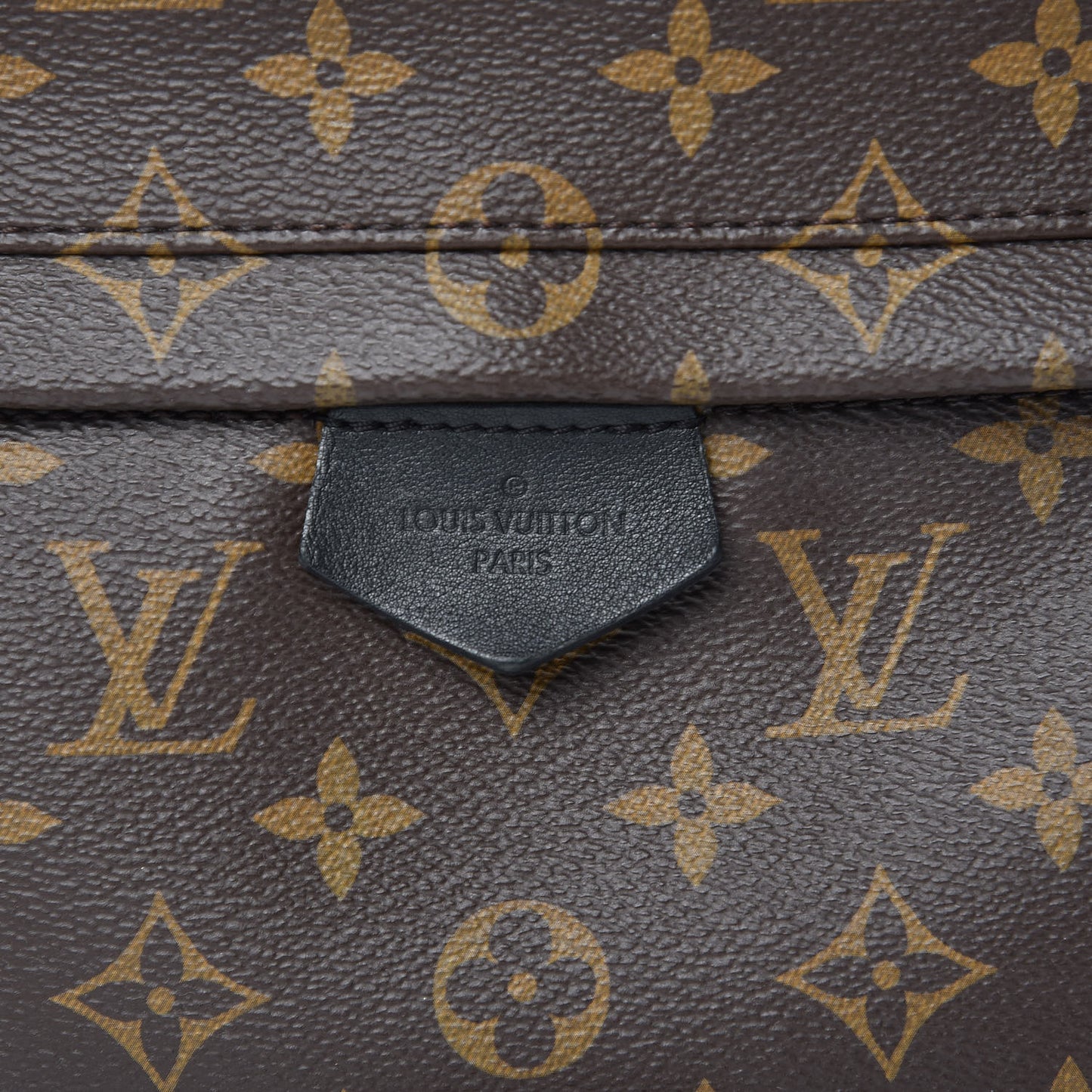 Monogram Palm Springs Backpack MM
