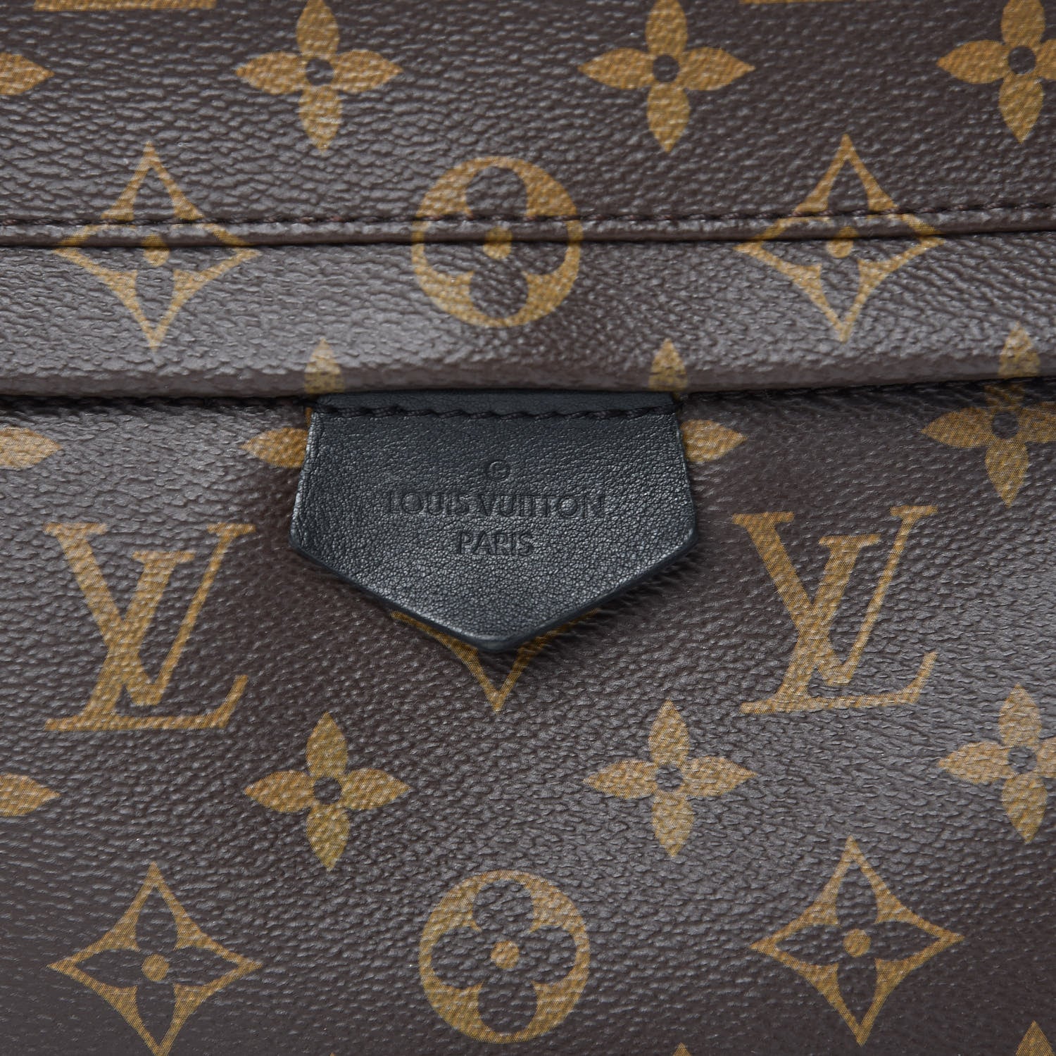 Louis Vuitton Monogram Palm Springs Backpack MM 10 of 12