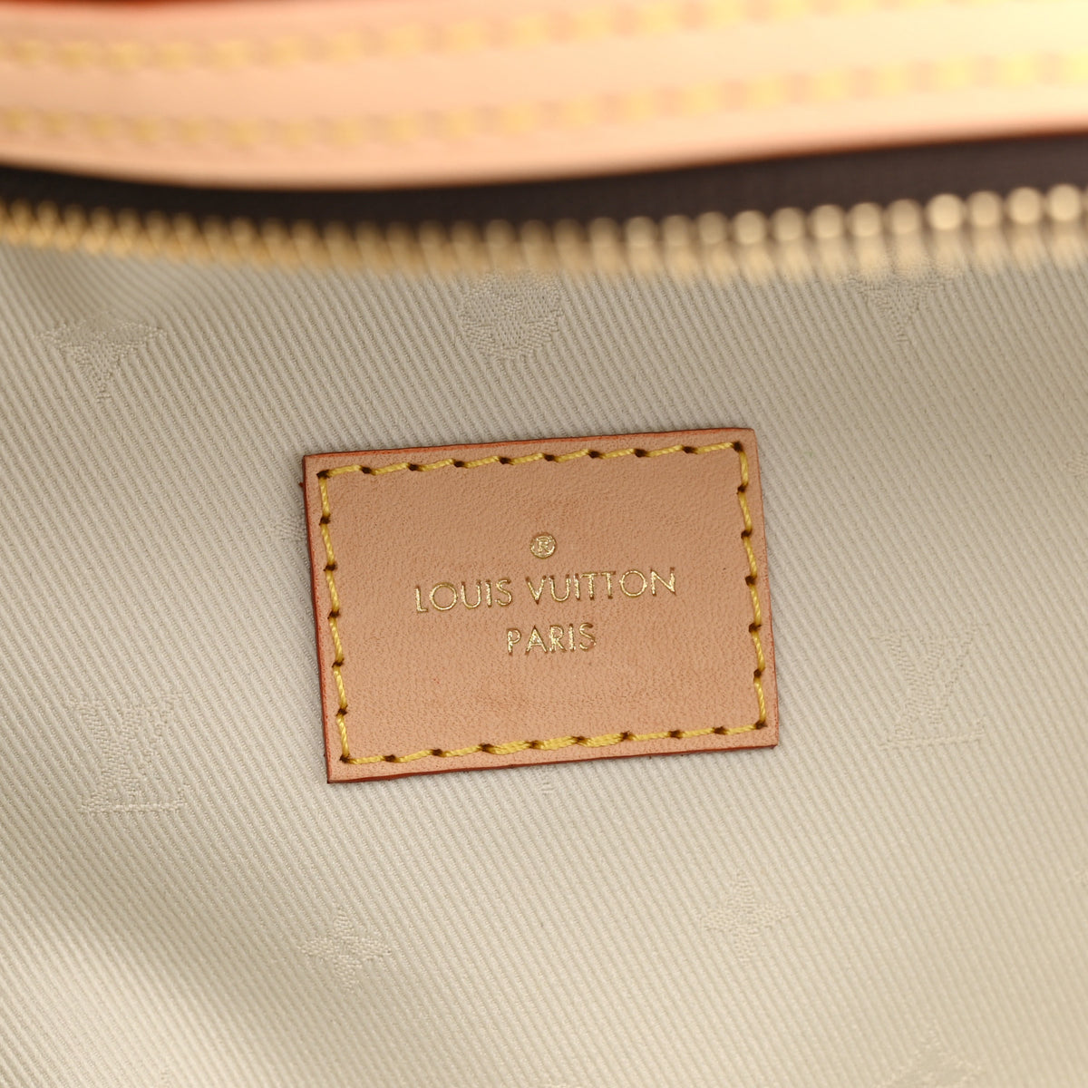 Louis Vuitton Monogram High Rise Bumbag 6 of 10