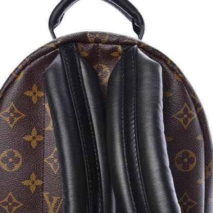 Louis Vuitton Monogram Palm Springs Backpack PM 10 of 11