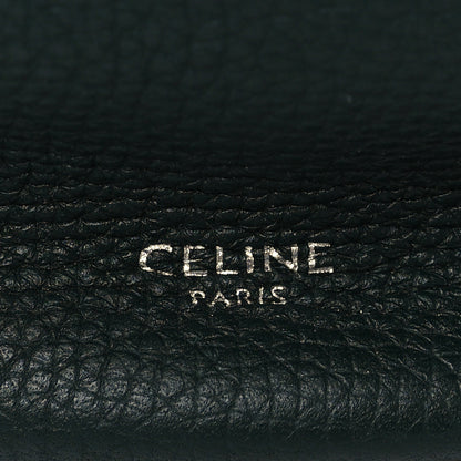 Celine Supple Grained Calfskin Nano Big Bag Bucket Amazone 6 of 6