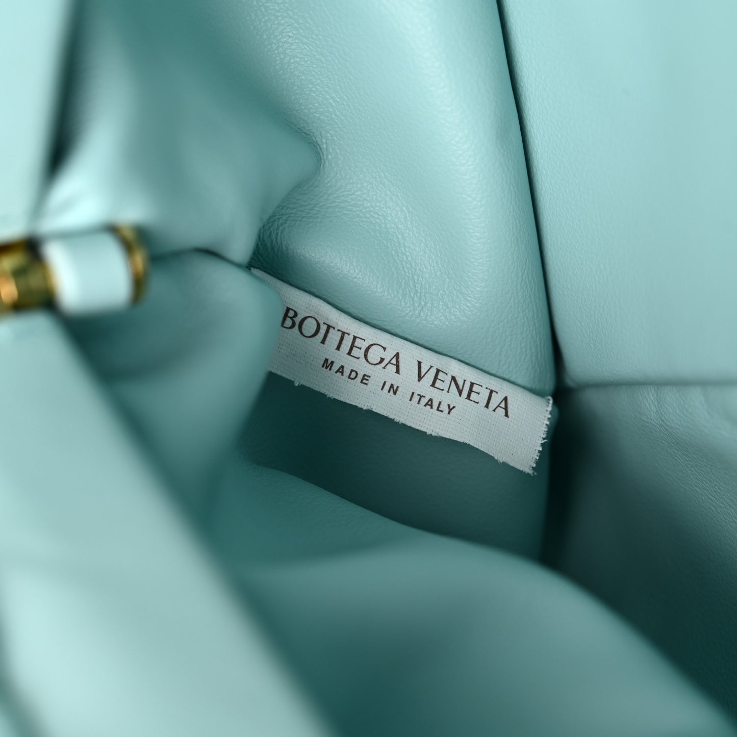 Calfskin The Pouch Chain Spearmint