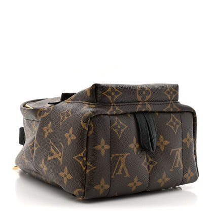 Louis Vuitton Monogram Palm Springs Backpack Mini 4 of 12