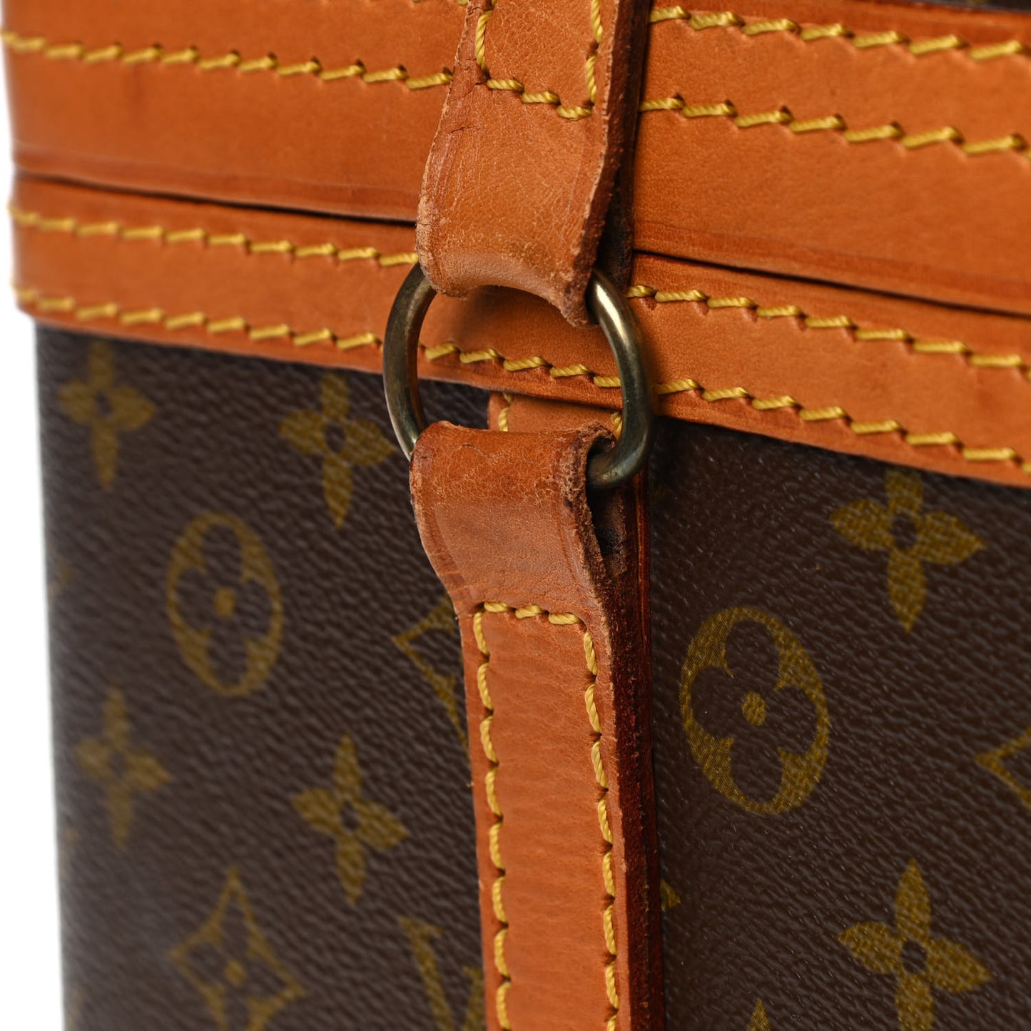 Monogram Train Case