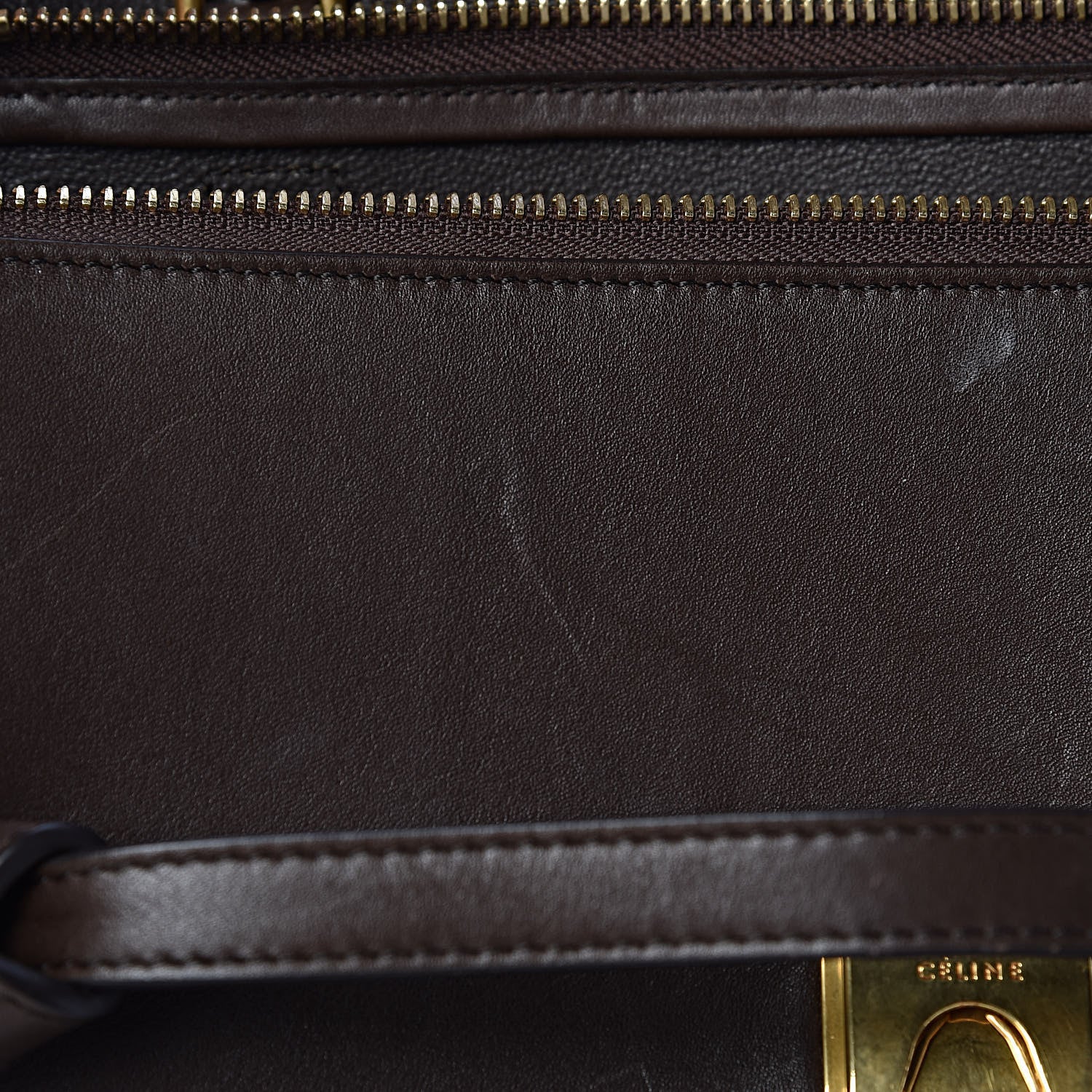 Celine Supersoft Calfskin Mini Belt Bag Wood 11 of 16