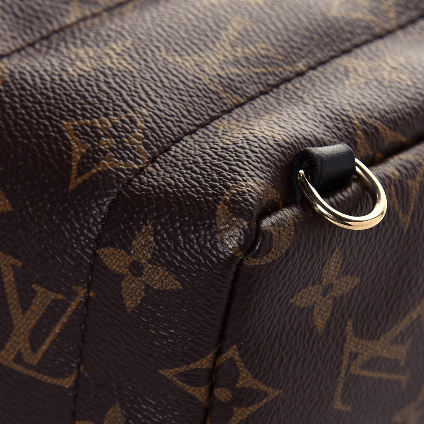 Monogram Palm Springs Backpack Mini