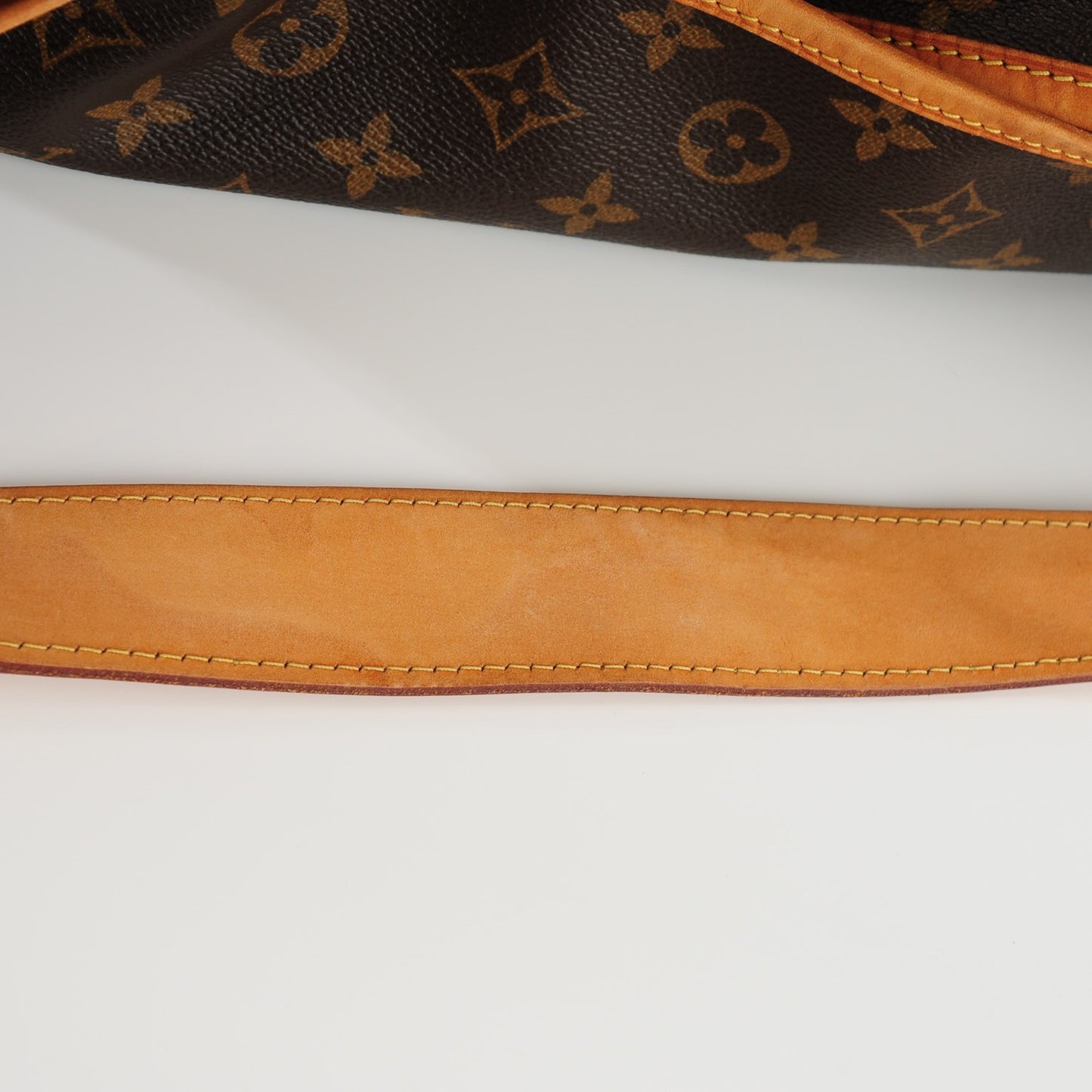 Monogram Delightful MM