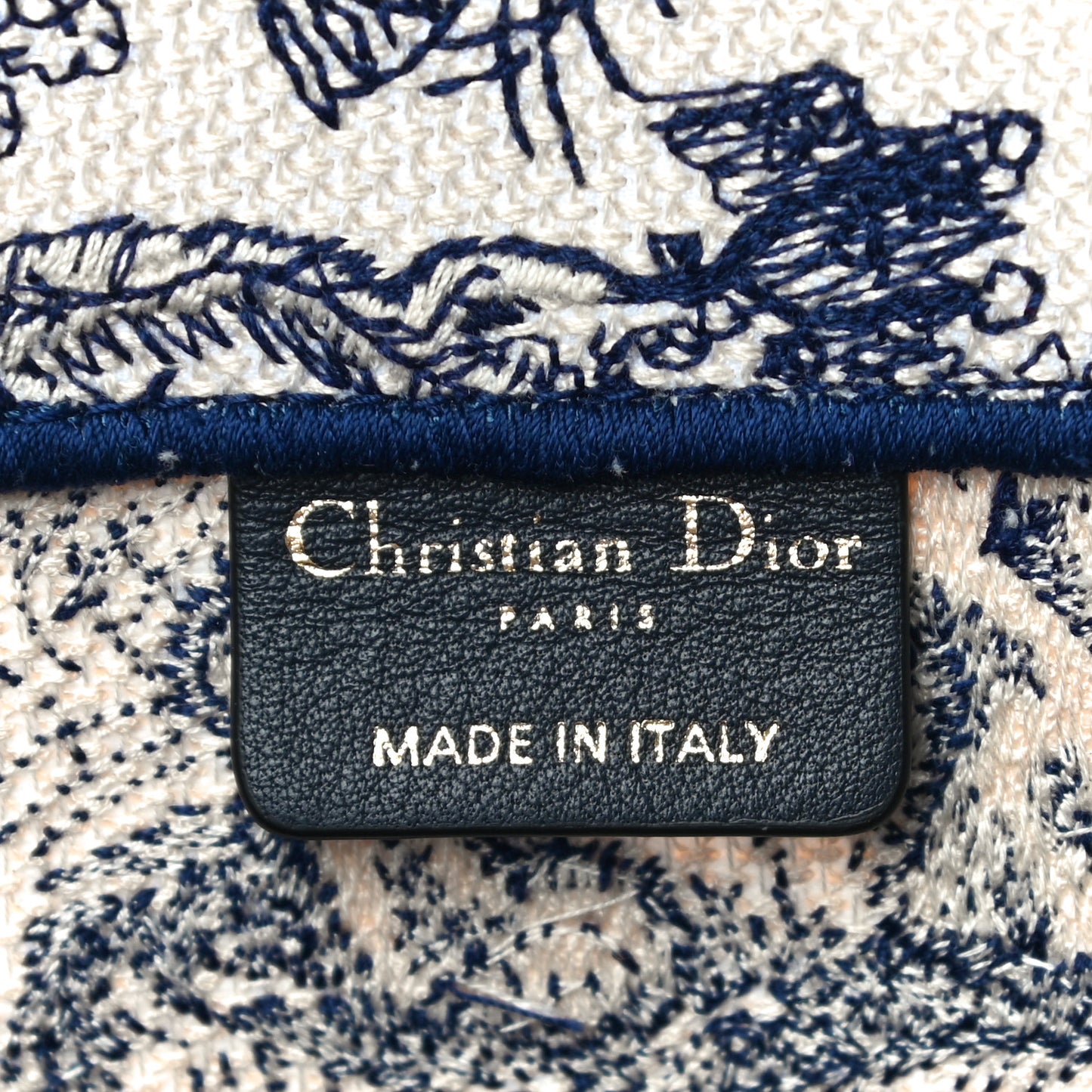 Canvas Embroidered Medium Dioriviera Toile De Jouy Book Tote Blue