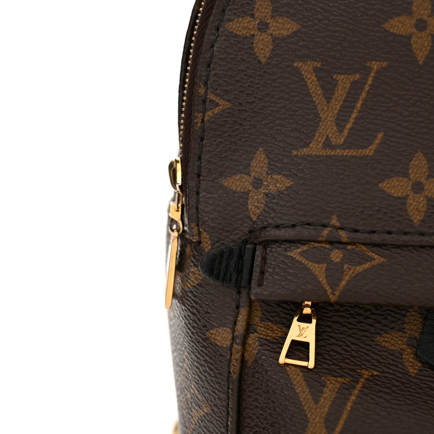 Monogram Palm Springs Backpack Mini