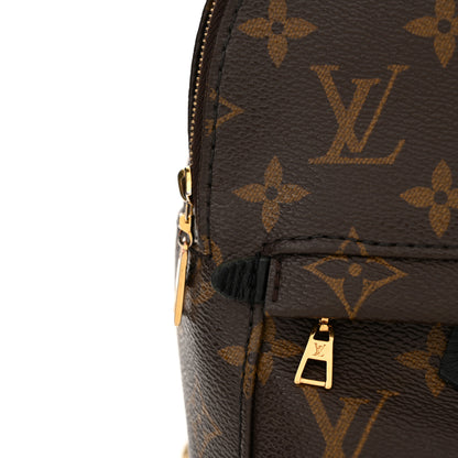 Louis Vuitton Monogram Palm Springs Backpack Mini 14 of 15