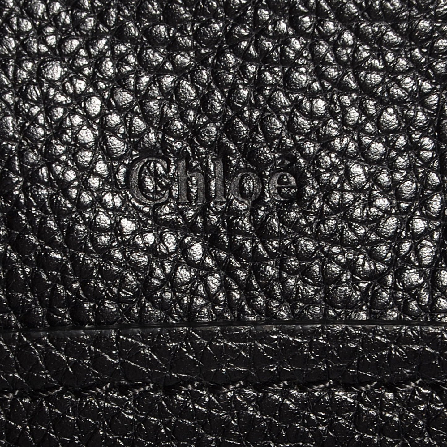 Calfskin Medium Paraty Black