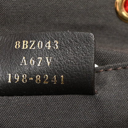 Fendi Vitello Cruise Bi-Color FF 1974 Embossed F is Fendi Drawstring Backpack Black Fragola Maya 6 of 9