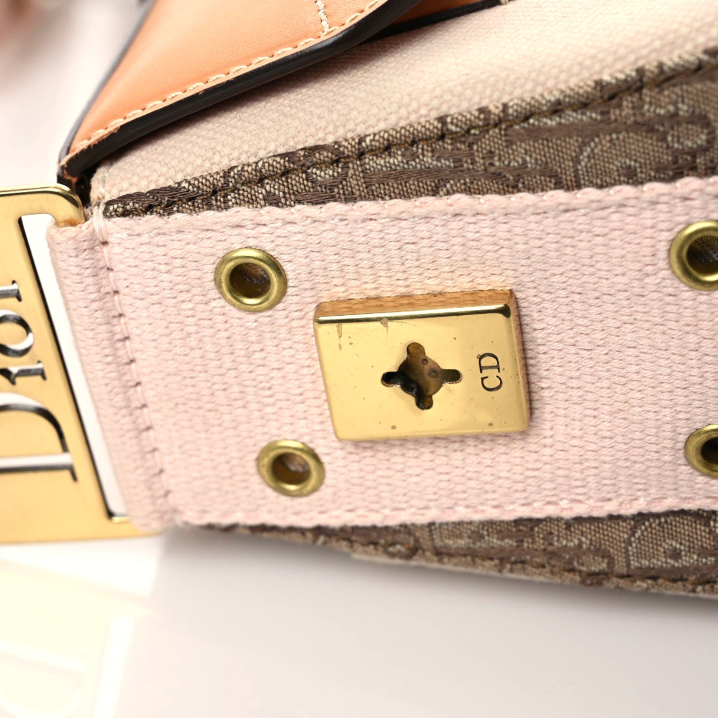 Canvas Calfskin Street Chic Shoulder Bag Pink