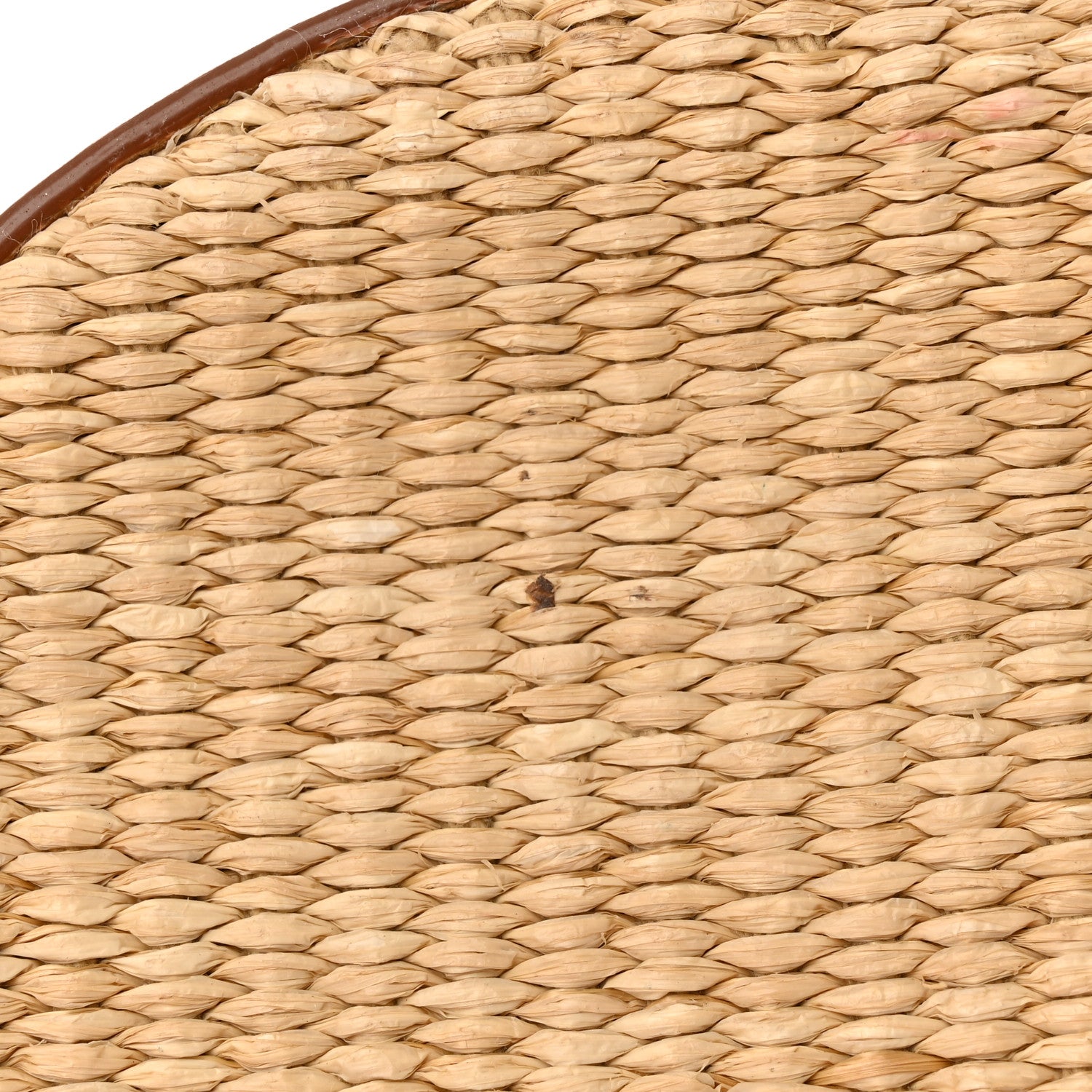 Saint Laurent Raffia Calfskin Small Mica Bag Natural Brown Gold 13 of 17