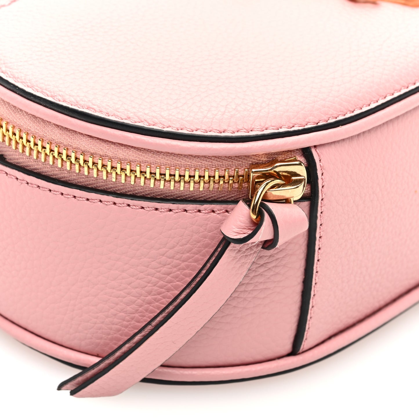 Grainy Calfskin Virtus Top Handle Camera Bag Pink