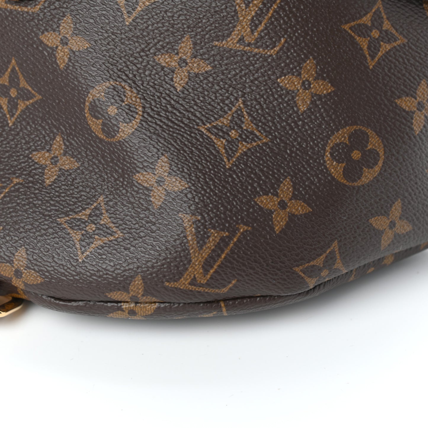 Monogram Bumbag