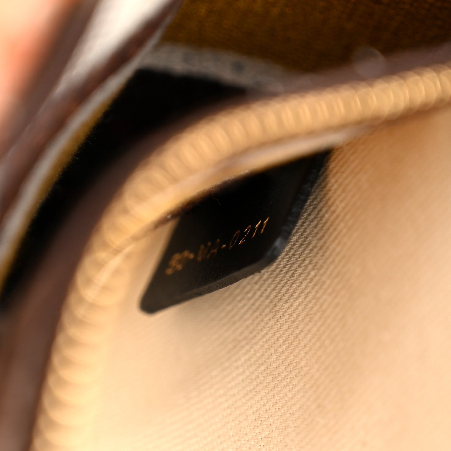 Canvas Embroidered Paisley Medium Lady D-Lite Multicolor