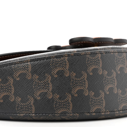 Celine Calfskin Triomphe Canvas Besace Tan 8 of 9