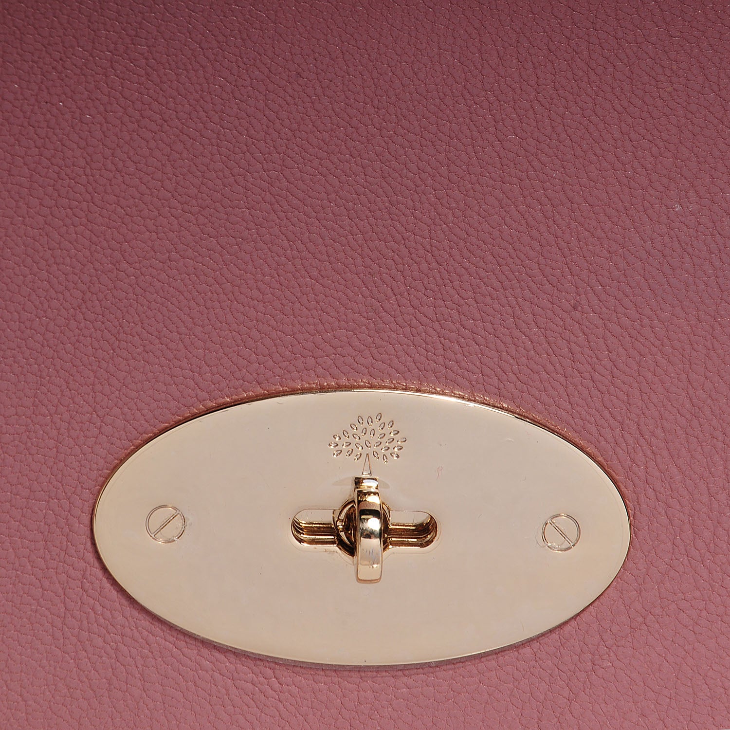 Mulberry Glossy Goat Medium Lily Flap Dark Blush 9 of 13