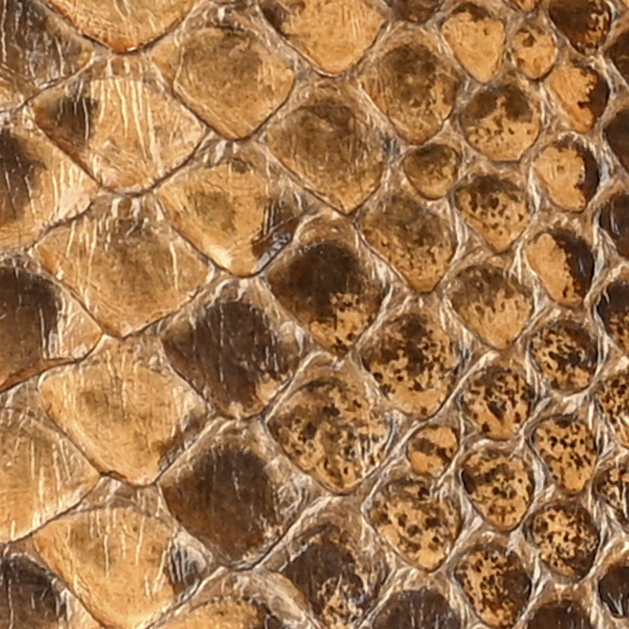 Snakeskin Mini Drew Shoulder Bag Curry Yellow