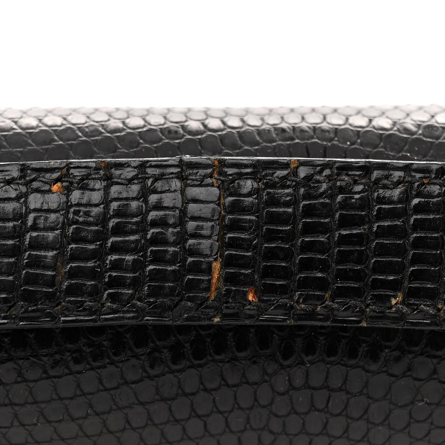 Lizard Constance 24 Black