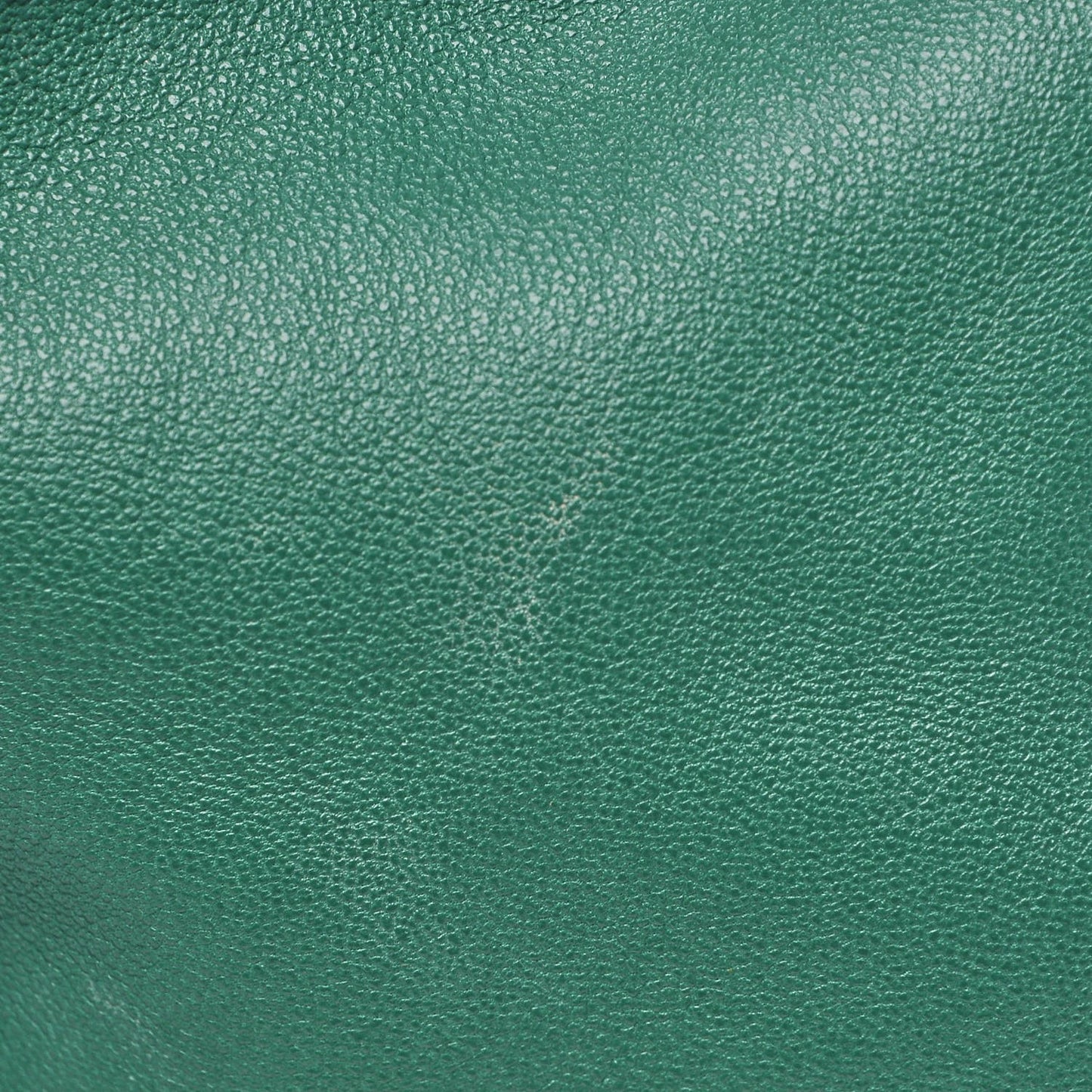 Calfskin Flamenco Shoulder Bag Green