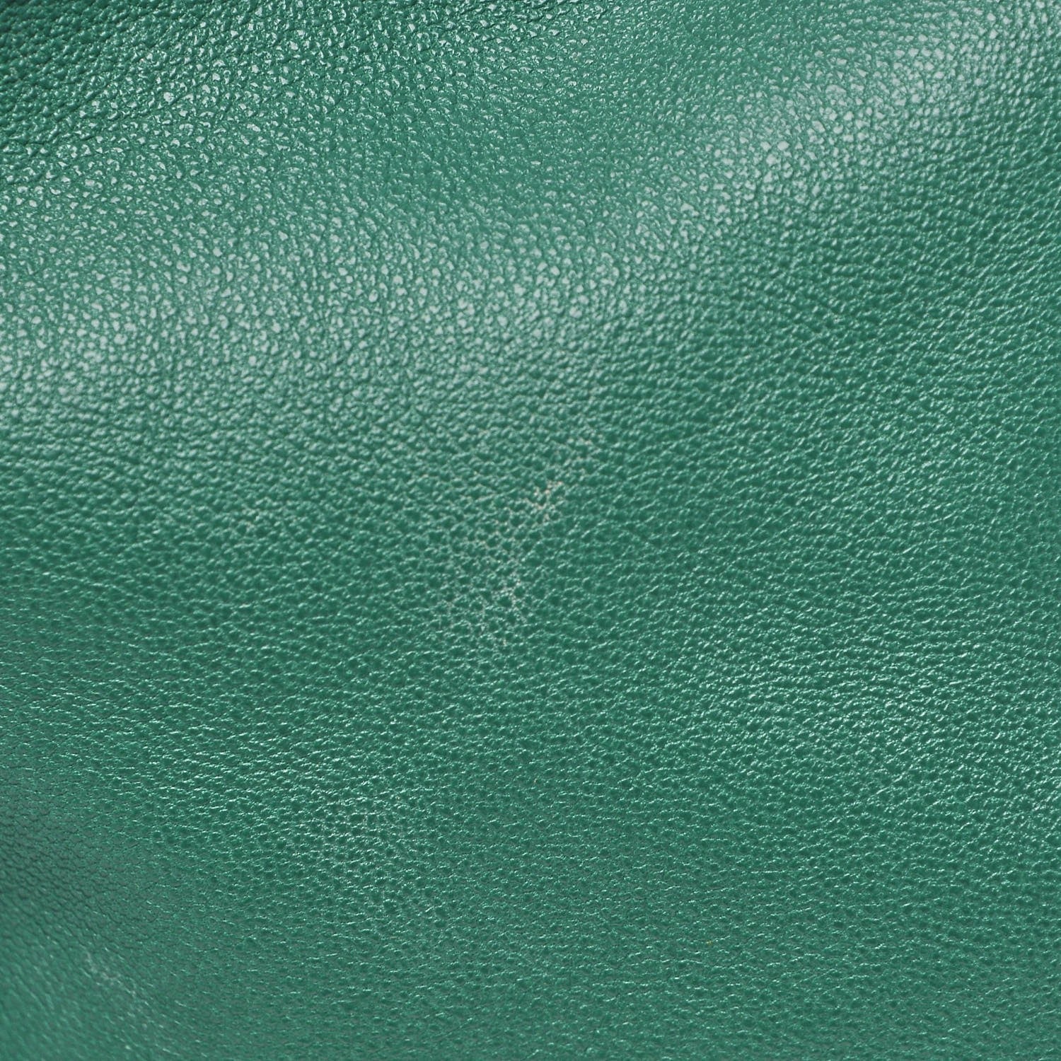 Loewe Calfskin Flamenco Shoulder Bag Green 13 of 14