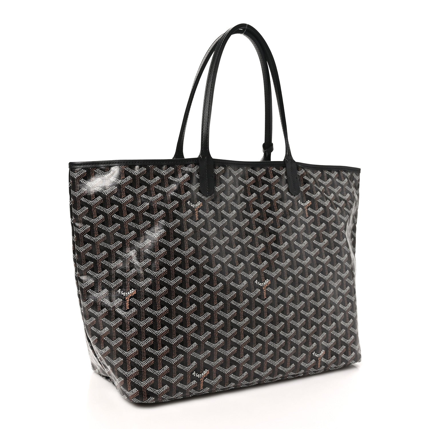 Goyard Goyardine Saint Louis PM Black 4 of 11