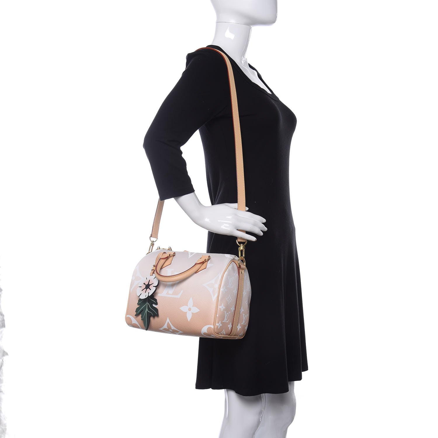Louis Vuitton Monogram Giant By The Pool Speedy Bandouliere 25 Brume 2 of 10