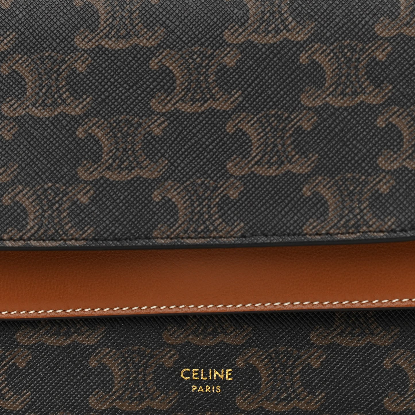 Triomphe Canvas Lambskin Wallet On Strap Tan
